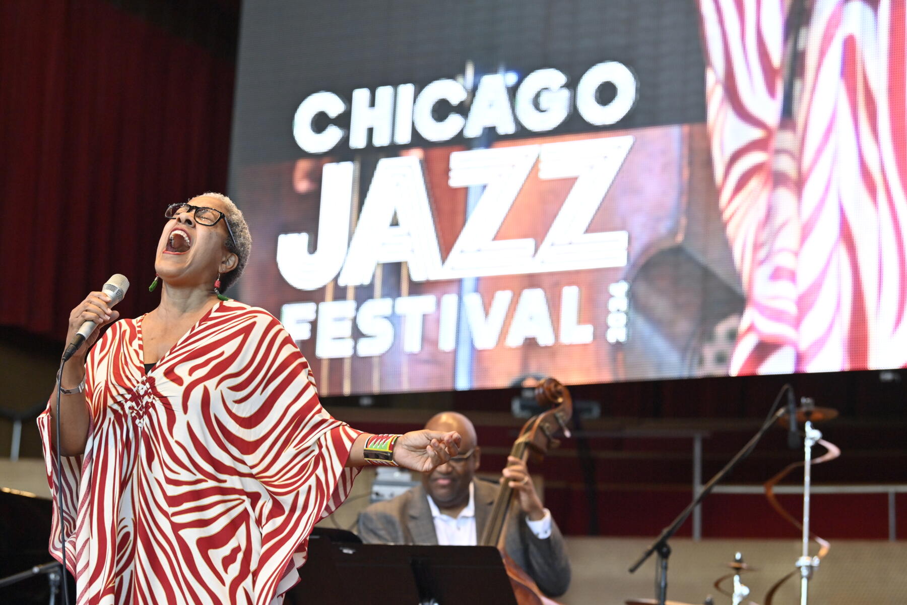 Jazz Festival_WSM5866 (Photo credit Walter S. Mitchell III, City of Chicago)